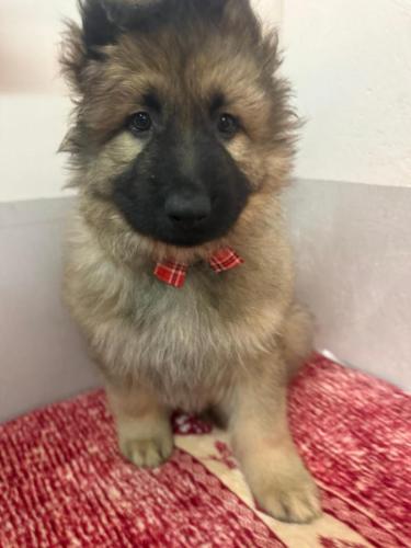 WhatsApp-Image-2026-02-02-at-13.28.54