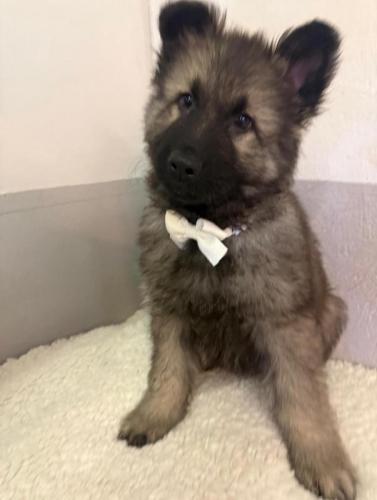 WhatsApp-Image-2026-04-07-at-19.03.54-1