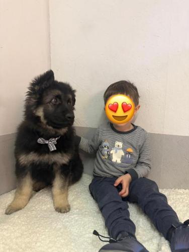 WhatsApp-Image-2026-04-07-at-19.03.54-2