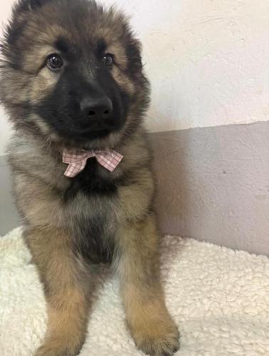 WhatsApp-Image-2026-04-07-at-19.03.54-3