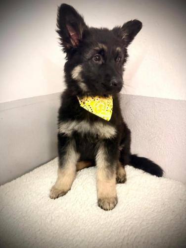 WhatsApp-Image-2026-04-07-at-19.03.54