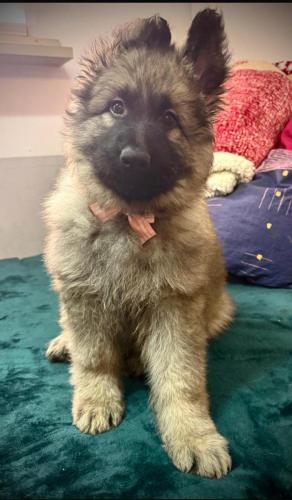 WhatsApp-Image-2026-04-07-at-19.03.55-1