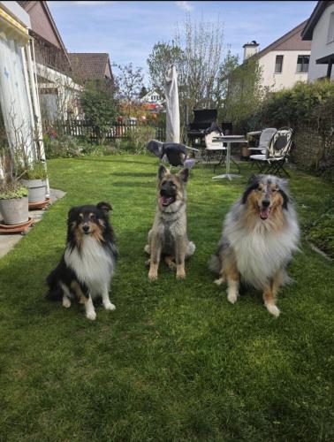 WhatsApp-Image-2026-04-07-at-19.03.55-10