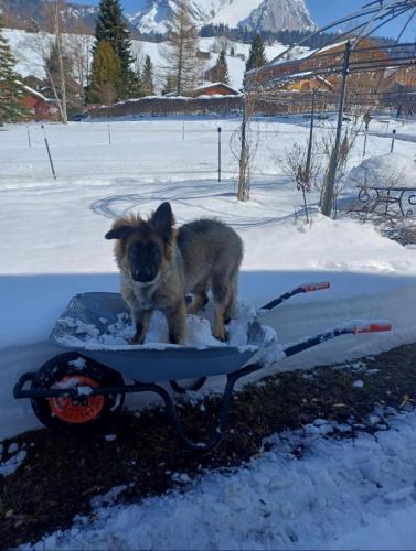 WhatsApp-Image-2026-04-07-at-19.03.55-11