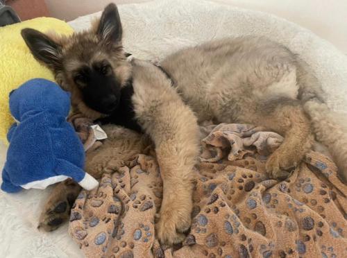 WhatsApp-Image-2026-04-07-at-19.03.55-12