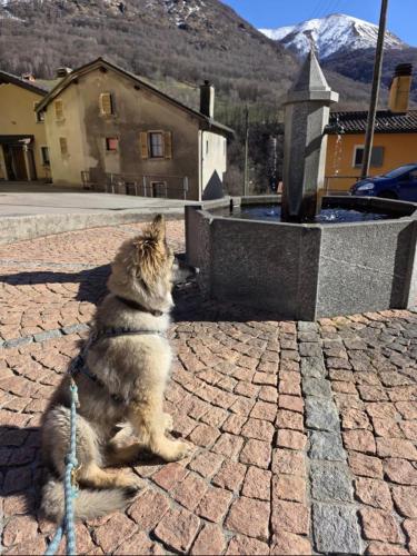 WhatsApp-Image-2026-04-07-at-19.03.55-13