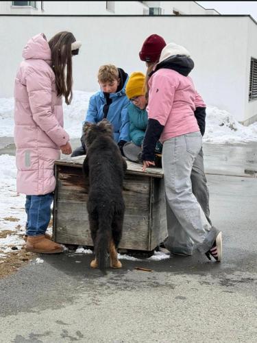 WhatsApp-Image-2026-04-07-at-19.03.55-14