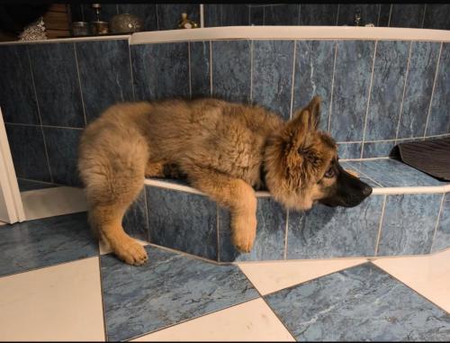 WhatsApp-Image-2026-04-07-at-19.03.55-15