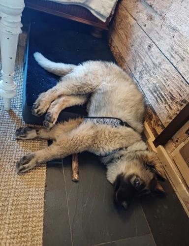 WhatsApp-Image-2026-04-07-at-19.03.55-16