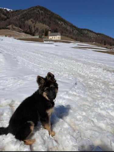 WhatsApp-Image-2026-04-07-at-19.03.55-17