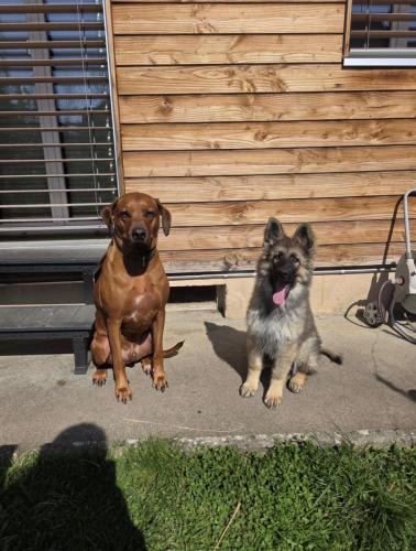 WhatsApp-Image-2026-04-07-at-19.03.55-18