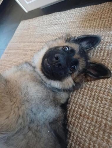 WhatsApp-Image-2026-04-07-at-19.03.55-19