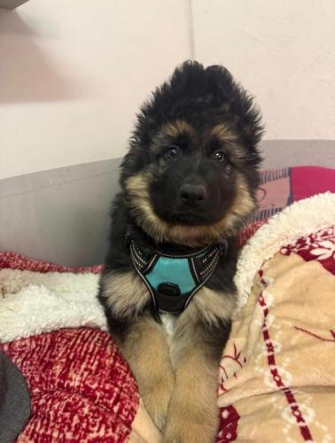 WhatsApp-Image-2026-04-07-at-19.03.55-2