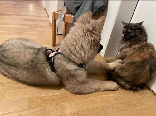 WhatsApp-Image-2026-04-07-at-19.03.55-20