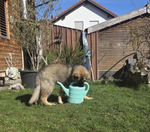 WhatsApp-Image-2026-04-07-at-19.03.55-21