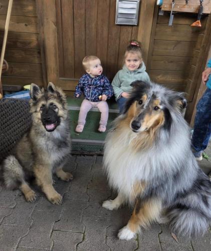 WhatsApp-Image-2026-04-07-at-19.03.55-22