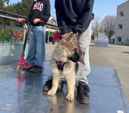 WhatsApp-Image-2026-04-07-at-19.03.55-23