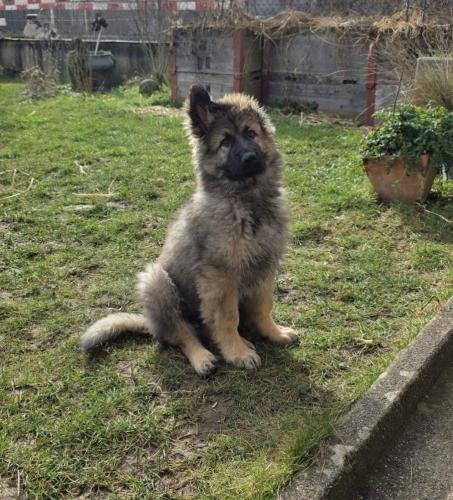 WhatsApp-Image-2026-04-07-at-19.03.55-26