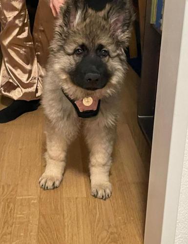 WhatsApp-Image-2026-04-07-at-19.03.55-27