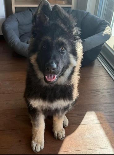 WhatsApp-Image-2026-04-07-at-19.03.55-28