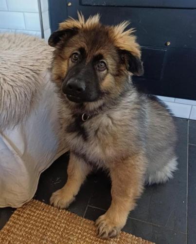 WhatsApp-Image-2026-04-07-at-19.03.55-29