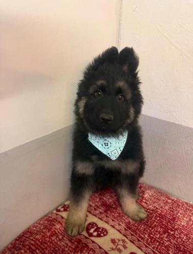 WhatsApp-Image-2026-04-07-at-19.03.55-3