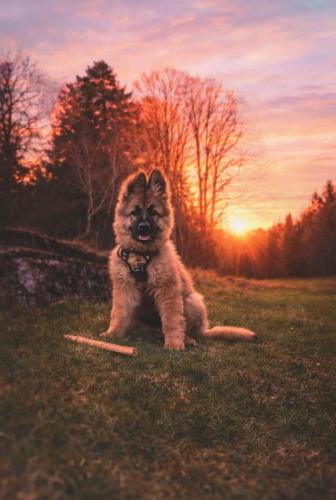 WhatsApp-Image-2026-04-07-at-19.03.55-30