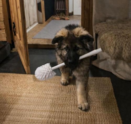 WhatsApp-Image-2026-04-07-at-19.03.55-31