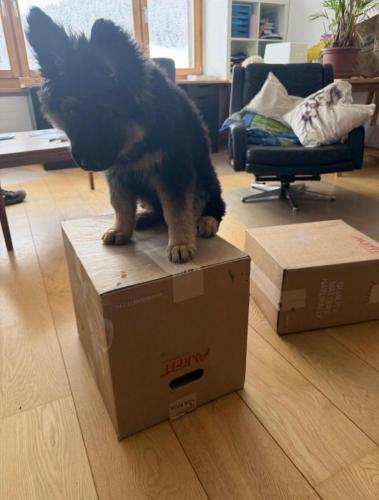 WhatsApp-Image-2026-04-07-at-19.03.55-32