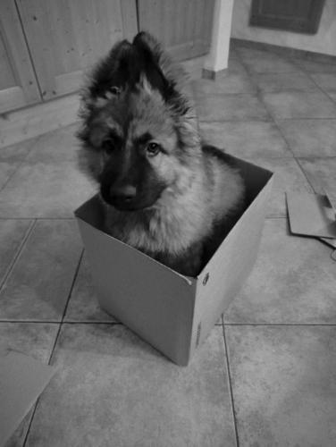 WhatsApp-Image-2026-04-07-at-19.03.55-33