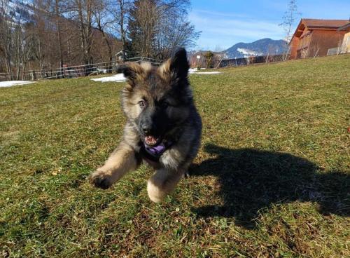 WhatsApp-Image-2026-04-07-at-19.03.55-34