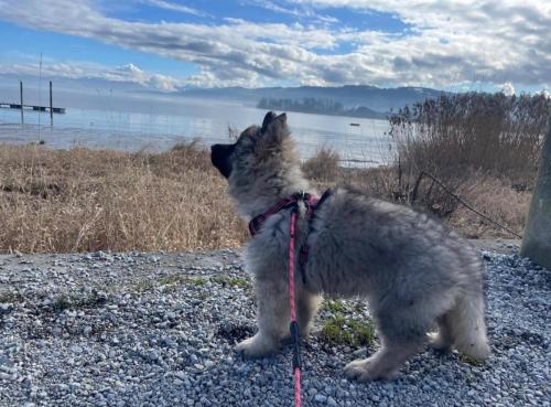 WhatsApp-Image-2026-04-07-at-19.03.55-35