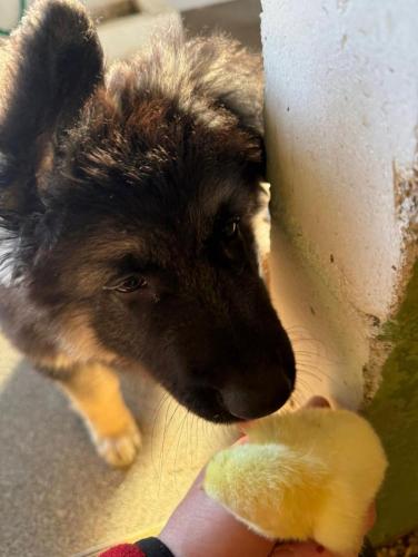 WhatsApp-Image-2026-04-07-at-19.03.55-36