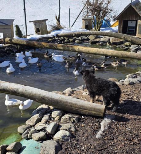 WhatsApp-Image-2026-04-07-at-19.03.55-37