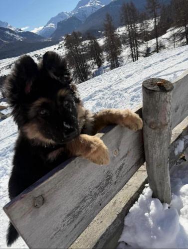 WhatsApp-Image-2026-04-07-at-19.03.55-38