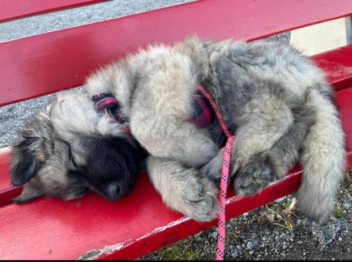 WhatsApp-Image-2026-04-07-at-19.03.55-39