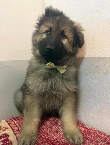 WhatsApp-Image-2026-04-07-at-19.03.55-4