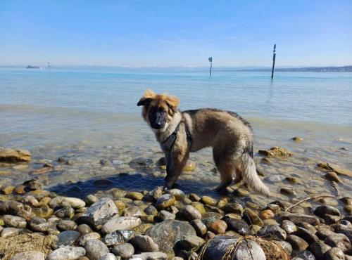 WhatsApp-Image-2026-04-07-at-19.03.55-6