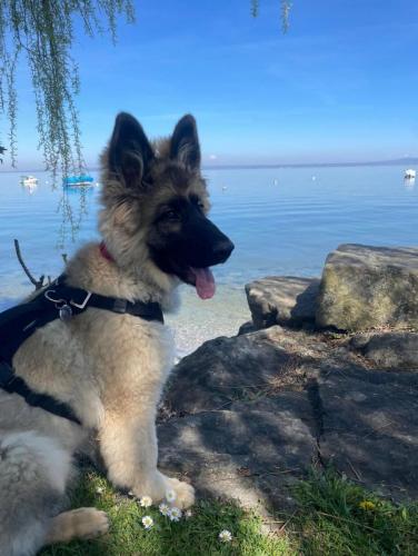 WhatsApp-Image-2026-04-07-at-19.03.55-7