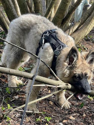 WhatsApp-Image-2026-04-07-at-19.03.55-8