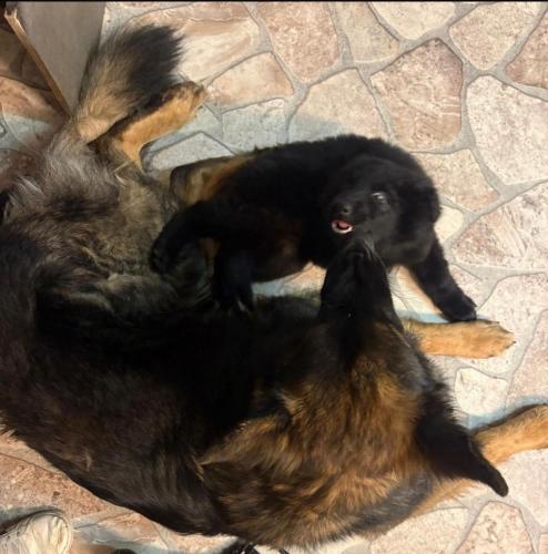 WhatsApp-Image-2026-04-07-at-19.46.48