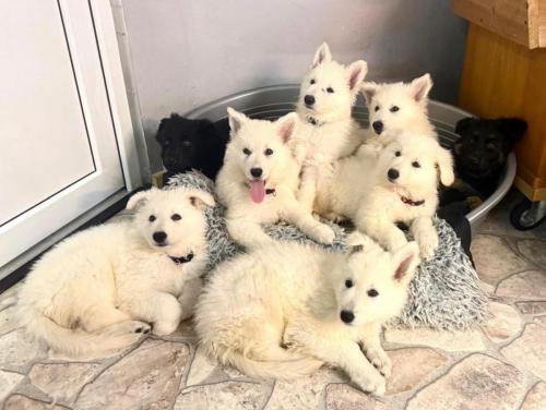 WhatsApp-Image-2026-04-07-at-19.46.49-1