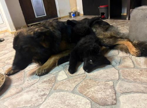 WhatsApp-Image-2026-04-07-at-19.46.49