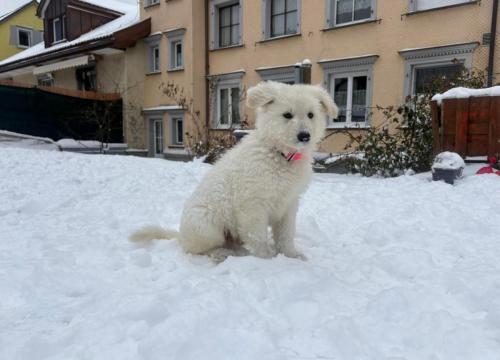 WhatsApp-Image-2026-04-07-at-19.46.50-1