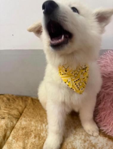 WhatsApp-Image-2026-04-07-at-19.46.50-2