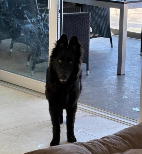 WhatsApp-Image-2026-04-07-at-19.46.51-1