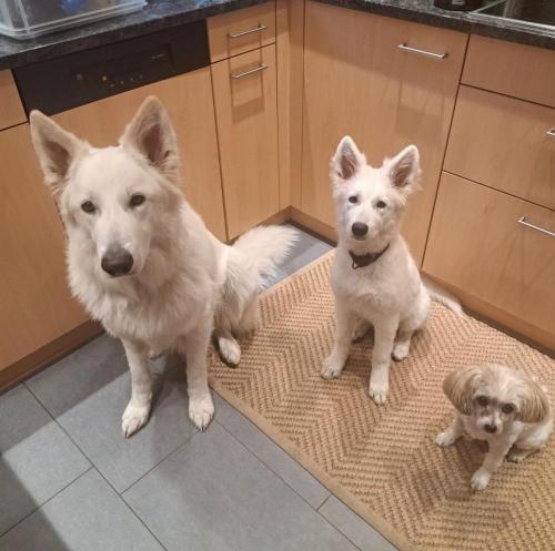 WhatsApp-Image-2026-04-07-at-19.46.51-10