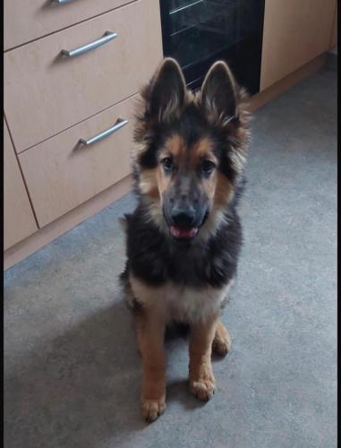 WhatsApp-Image-2026-04-07-at-19.46.51-11