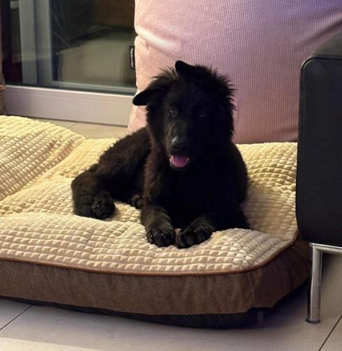 WhatsApp-Image-2026-04-07-at-19.46.51-12