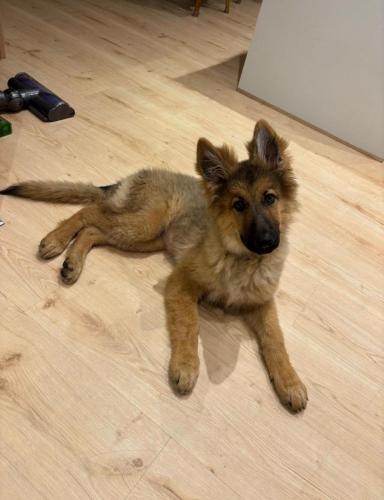 WhatsApp-Image-2026-04-07-at-19.46.51-13